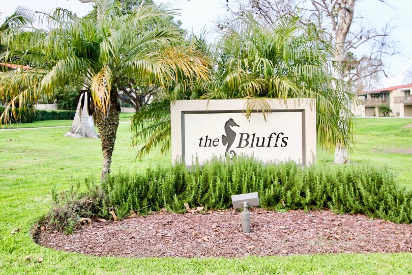 The Bluffs Condos, Lofts & Townhomes For Sale The Bluffs Real Estate