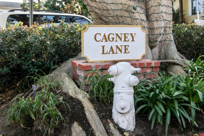 Versailles Condos, Lofts & Townhomes For Sale Versailles Real Estate