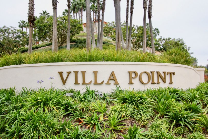 Villa Point Condos, Lofts & Townhomes For Sale Villa Point Real
