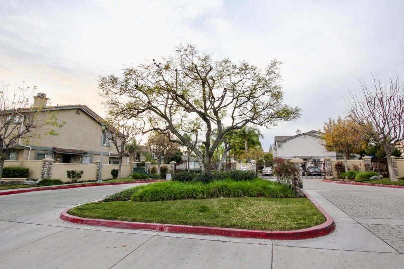 Cambridge Condos, Lofts & Townhomes For Sale Cambridge Real Estate