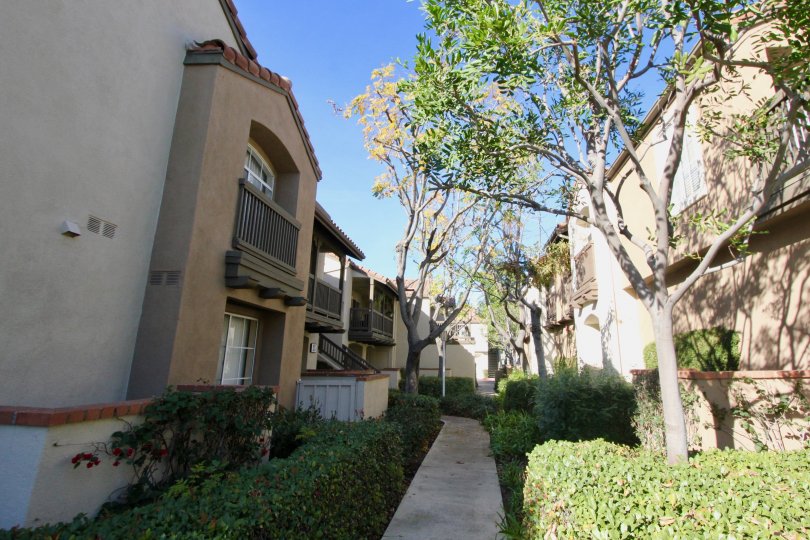 Canyon Hills Condos, Lofts & Townhomes For Sale Canyon Hills Real