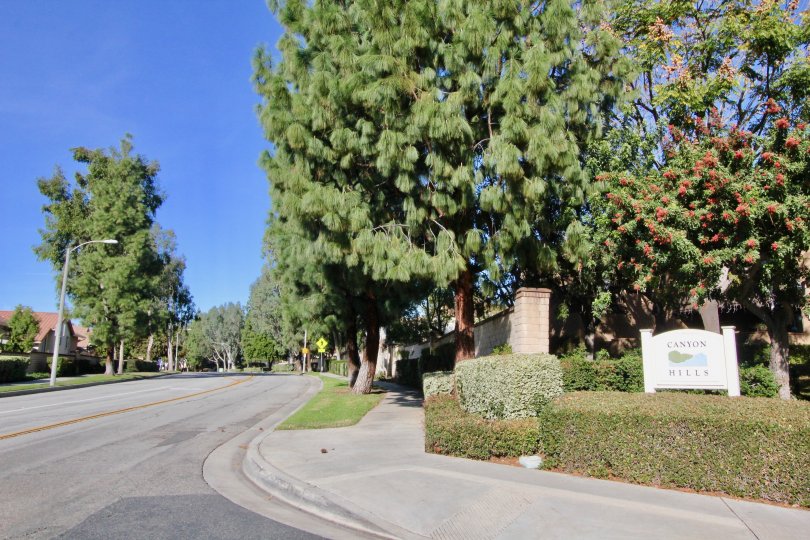 Canyon Hills Condos, Lofts & Townhomes For Sale Canyon Hills Real