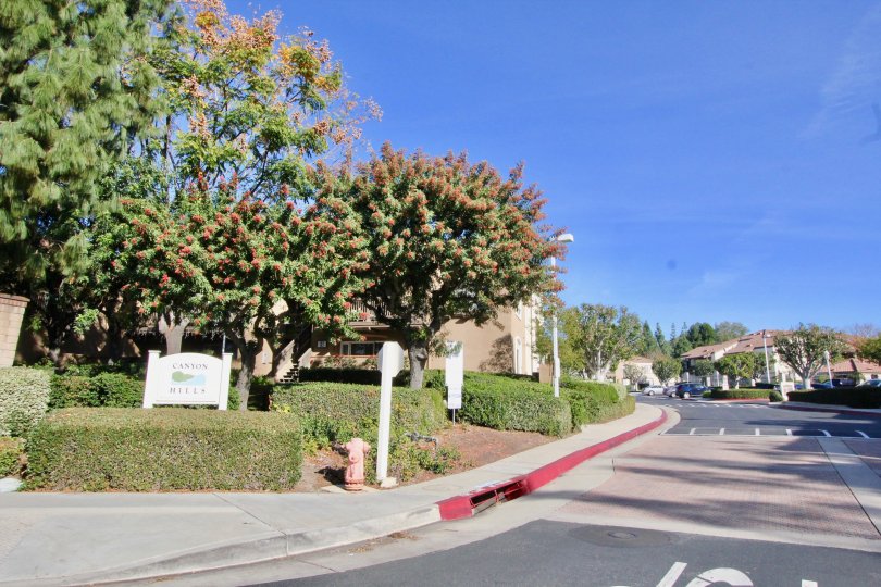 Canyon Hills Condos, Lofts & Townhomes For Sale Canyon Hills Real
