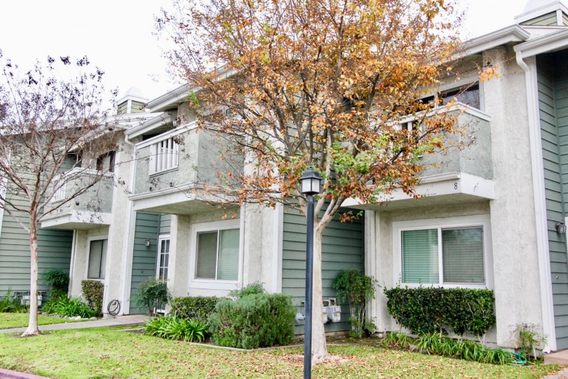 Fletcher Avenue Condos, Lofts & Townhomes For Sale Fletcher Avenue