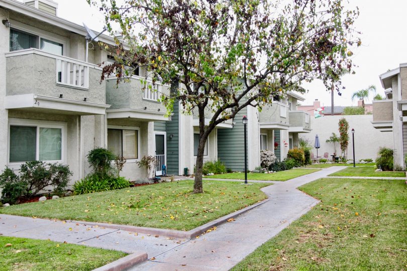 Fletcher Avenue Condos, Lofts & Townhomes For Sale Fletcher Avenue