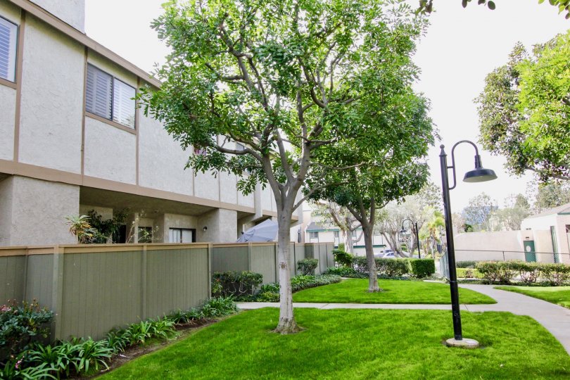 Greenhouse West Condos, Lofts & Townhomes For Sale Greenhouse West