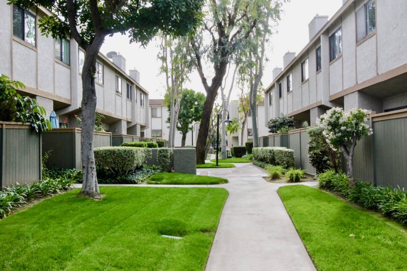 Greenhouse West Condos, Lofts & Townhomes For Sale Greenhouse West