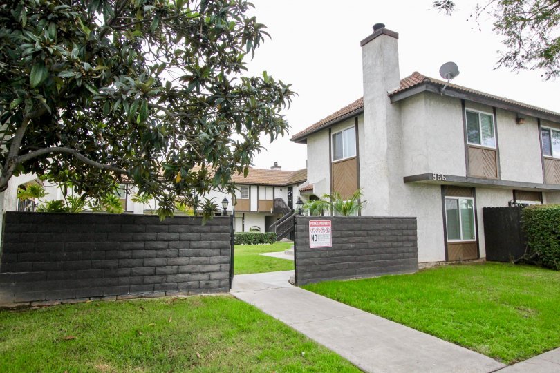 Lemon Tree Condos, Lofts & Townhomes For Sale Lemon Tree Real Estate