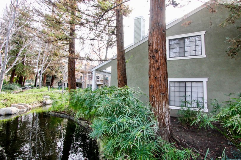 Morningside On The Lake Condos, Lofts & Townhomes For Sale Morningside On The Lake Real Estate