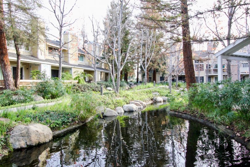 Morningside On The Lake Condos, Lofts & Townhomes For Sale Morningside On The Lake Real Estate