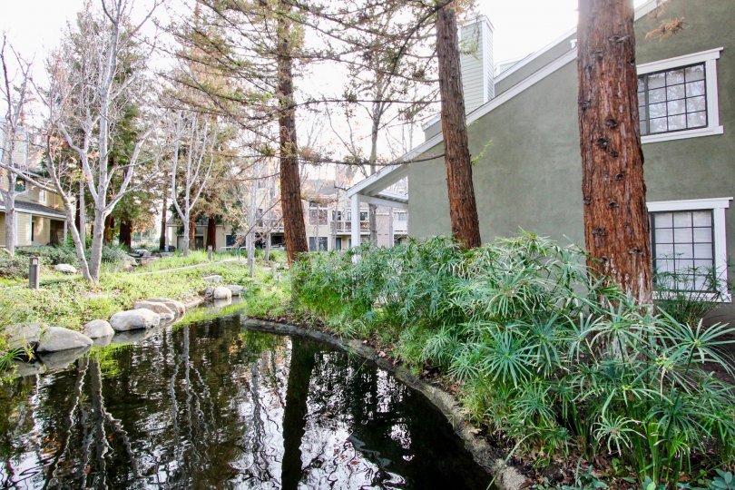 Morningside On The Lake Condos, Lofts & Townhomes For Sale Morningside On The Lake Real Estate