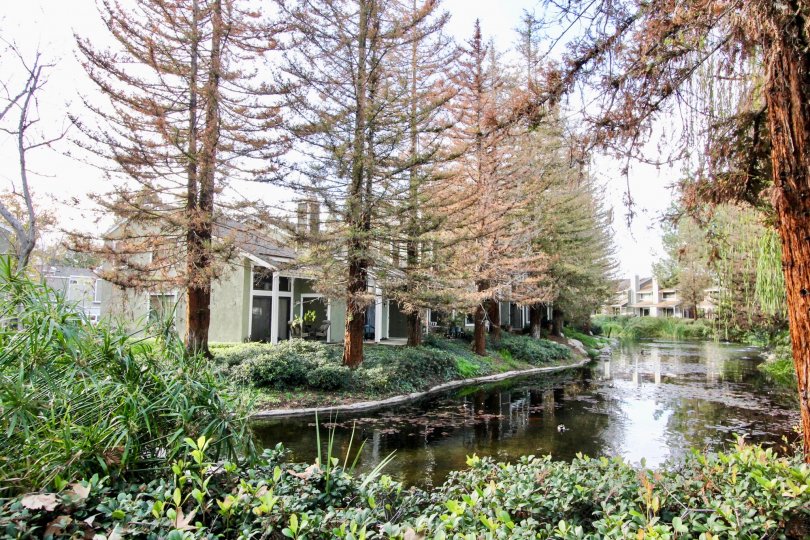 Morningside On The Lake Condos, Lofts & Townhomes For Sale Morningside On The Lake Real Estate