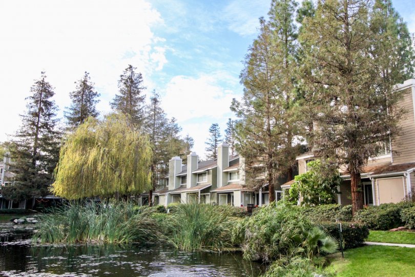 Morningside On The Lake Condos, Lofts & Townhomes For Sale Morningside On The Lake Real Estate