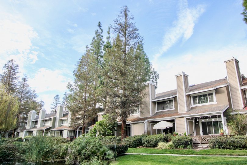 Morningside On The Lake Condos, Lofts & Townhomes For Sale Morningside On The Lake Real Estate