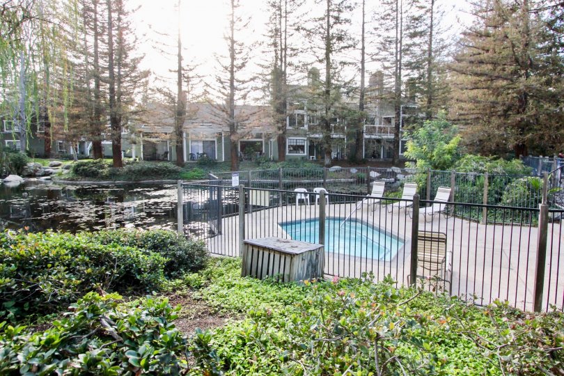 Morningside On The Lake Condos, Lofts & Townhomes For Sale Morningside On The Lake Real Estate