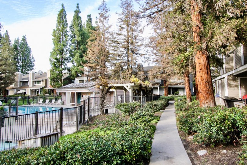 Morningside On The Lake Condos, Lofts & Townhomes For Sale Morningside On The Lake Real Estate