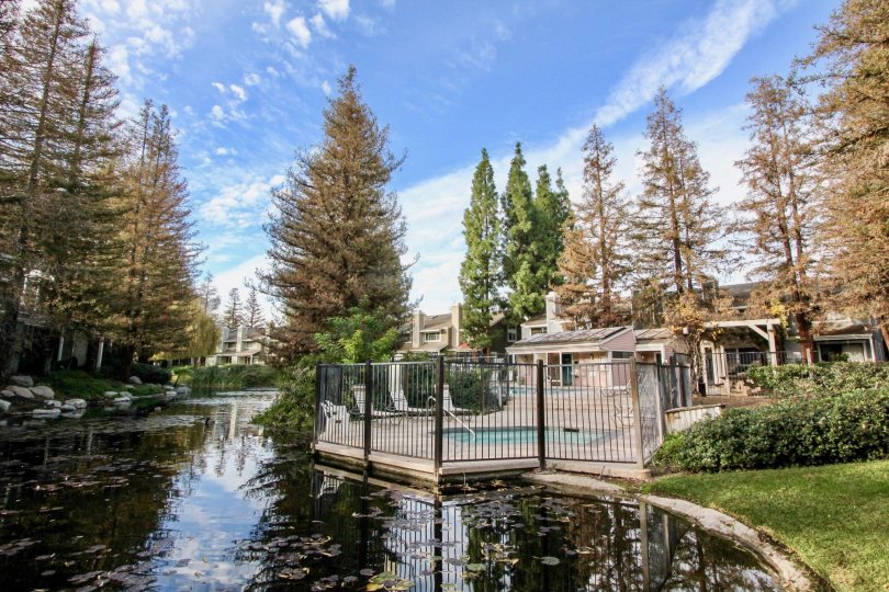 Morningside On The Lake Condos, Lofts & Townhomes For Sale Morningside On The Lake Real Estate