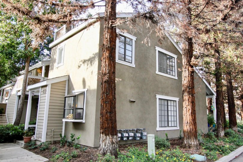 Morningside On The Lake Condos, Lofts & Townhomes For Sale Morningside On The Lake Real Estate