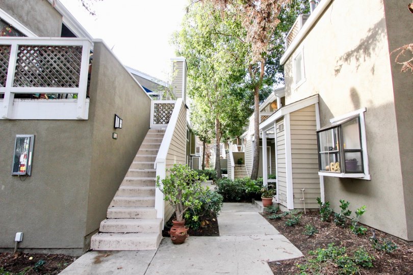 Morningside On The Lake Condos, Lofts & Townhomes For Sale Morningside On The Lake Real Estate