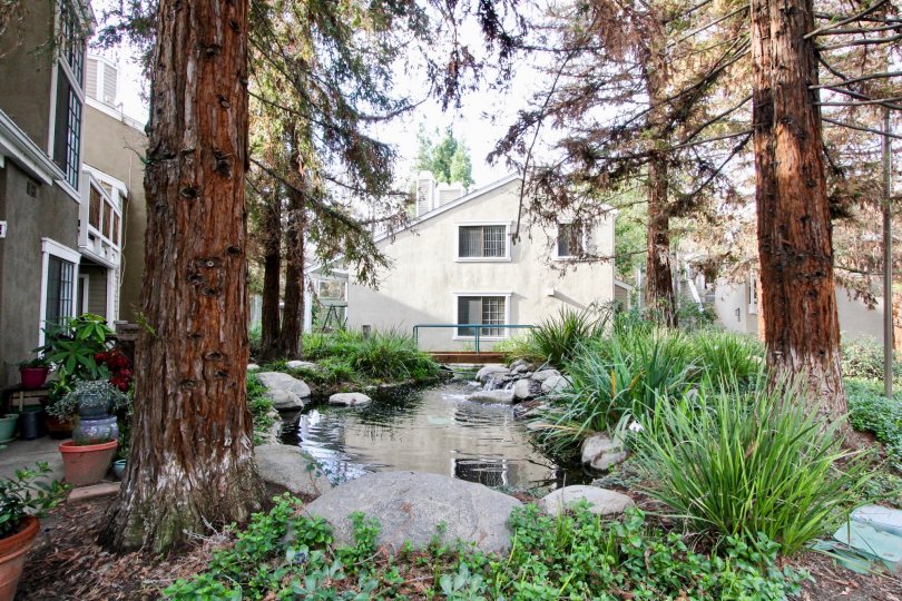 Morningside On The Lake Condos, Lofts & Townhomes For Sale Morningside On The Lake Real Estate