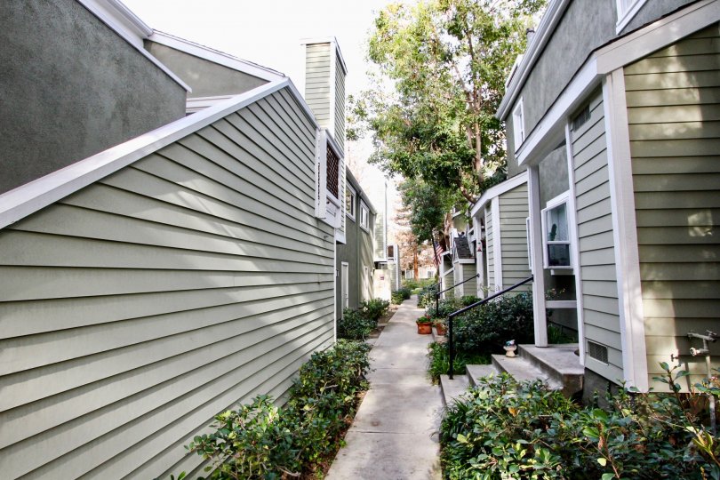 Morningside On The Lake Condos, Lofts & Townhomes For Sale Morningside On The Lake Real Estate