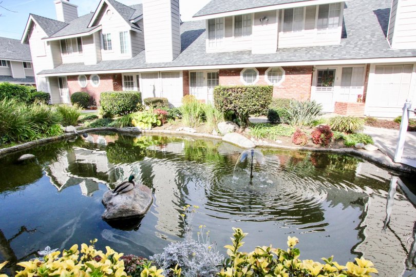 Orange Creek Condos, Lofts & Townhomes For Sale Orange Creek Real