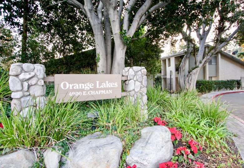 Orange Lakes Condos, Lofts & Townhomes For Sale Orange Lakes Real Estate Orange Lakes