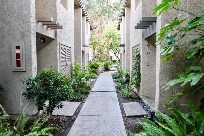 Orange Lakes Condos, Lofts & Townhomes For Sale Orange Lakes Real