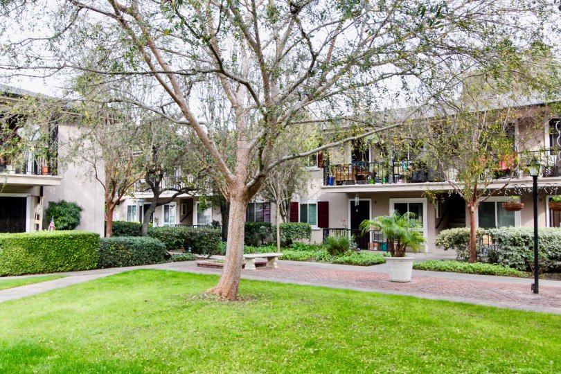 Park Orleans Condos, Lofts & Townhomes For Sale Park Orleans Real