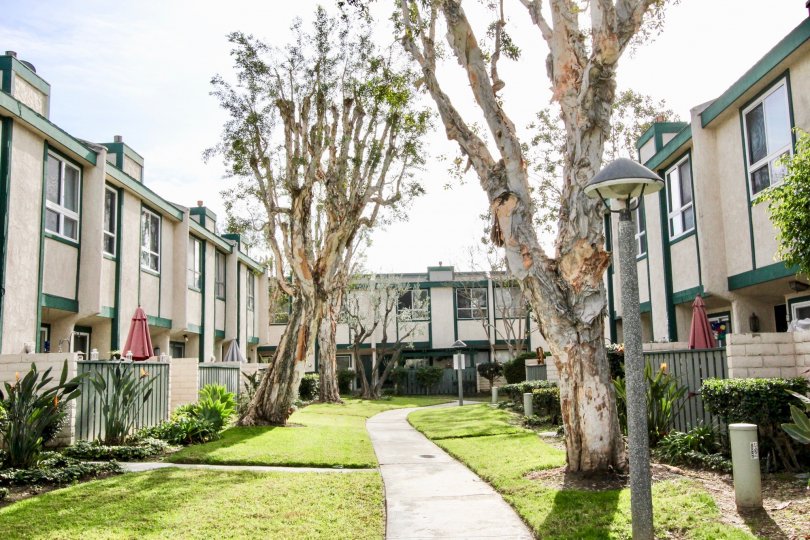 Park Terrace Village Condos, Lofts & Townhomes For Sale Park Terrace