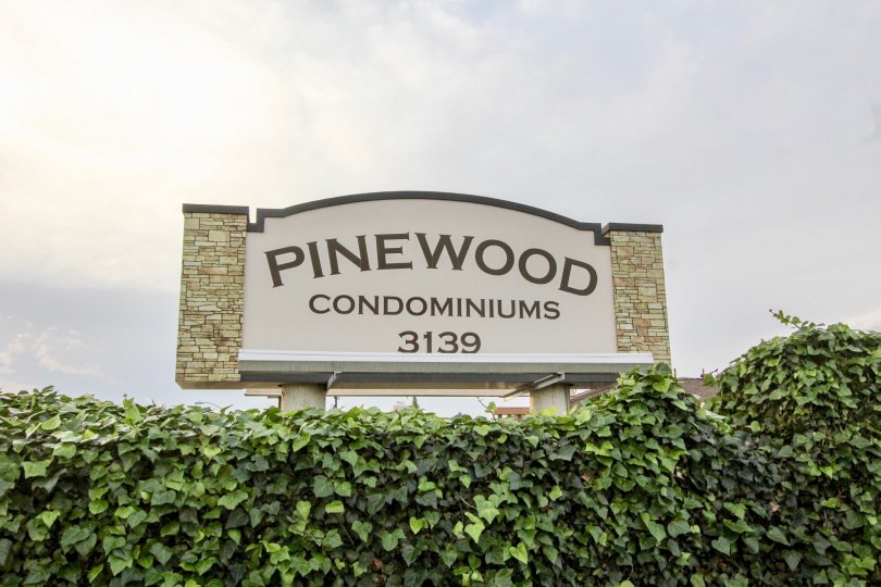 Pinewood Condos, Lofts & Townhomes For Sale Pinewood Real Estate