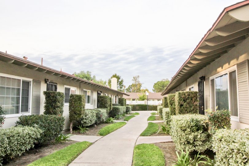 Pinewood Condos, Lofts & Townhomes For Sale Pinewood Real Estate