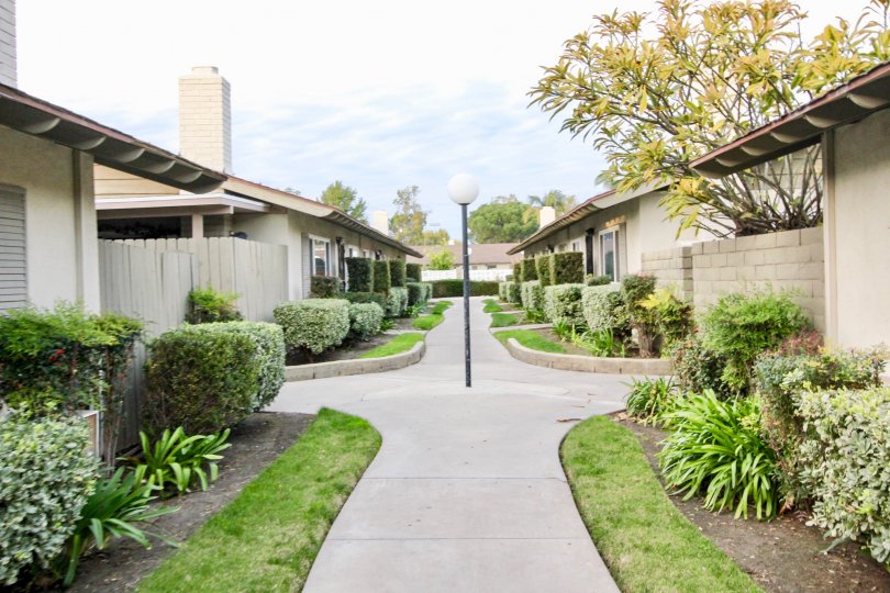 Pinewood Condos, Lofts & Townhomes For Sale Pinewood Real Estate