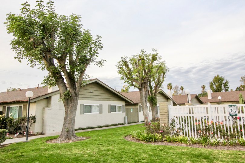 Pinewood Condos, Lofts & Townhomes For Sale Pinewood Real Estate