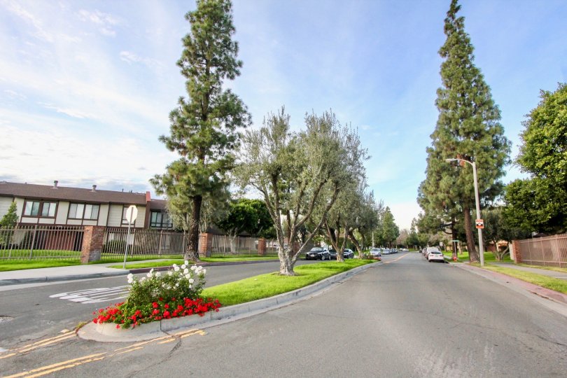 Smoketree Orange Townhomes Condos, Lofts & Townhomes For Sale