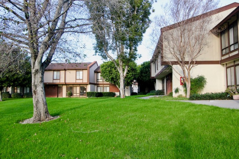 Smoketree Orange Townhomes Condos, Lofts & Townhomes For Sale Smoketree Orange Townhomes Real