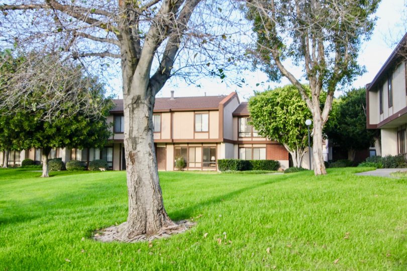 Smoketree Orange Townhomes Condos, Lofts & Townhomes For Sale