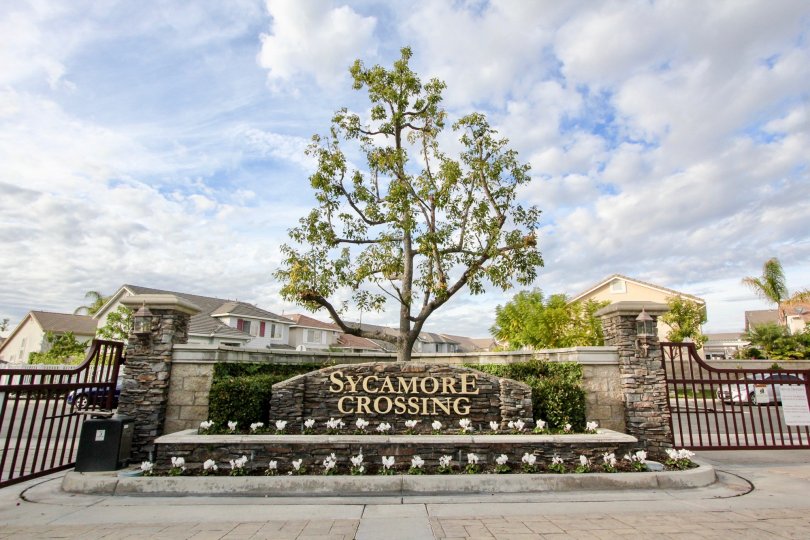 Sycamore Crossing Condos, Lofts & Townhomes For Sale Sycamore Crossing Real Estate Sycamore