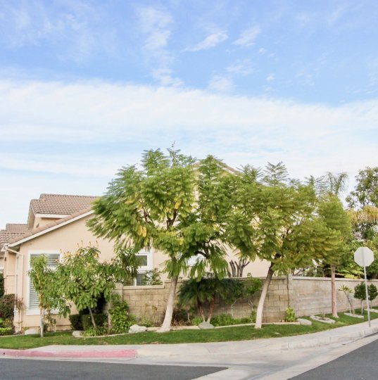 Sycamore Crossing Condos, Lofts & Townhomes For Sale Sycamore