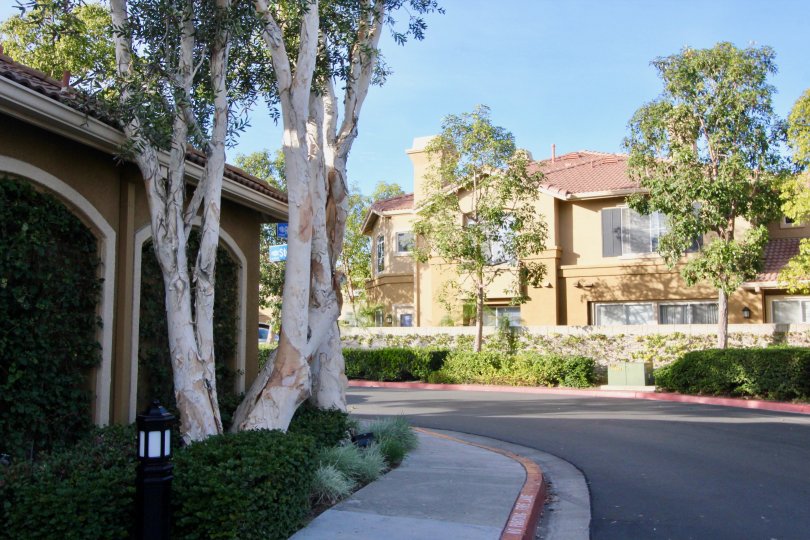 The Bluffs at Belmont Condos, Lofts & Townhomes For Sale The Bluffs