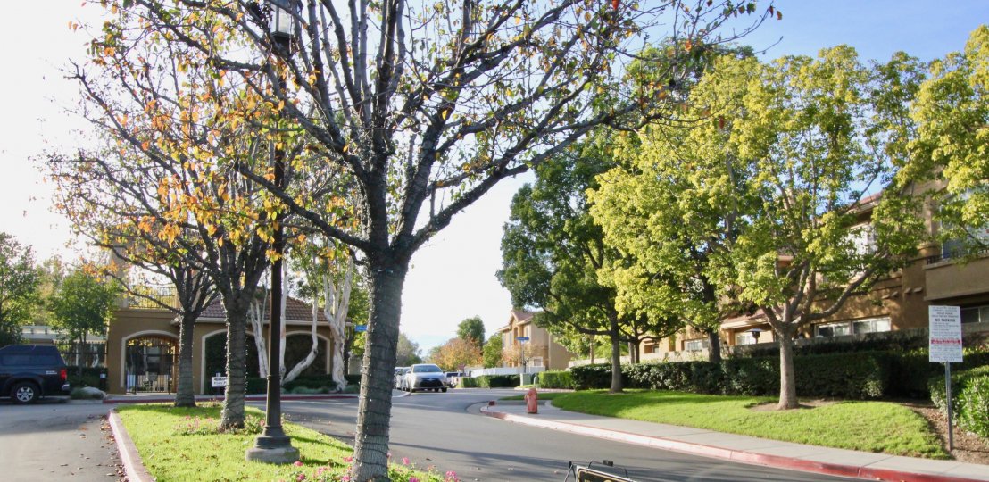 The Bluffs at Belmont Condos, Lofts & Townhomes For Sale The Bluffs