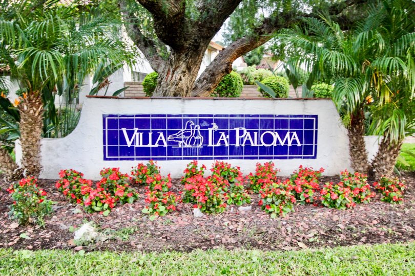 Villa La Paloma Condos, Lofts & Townhomes For Sale Villa La Paloma