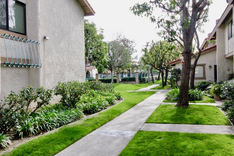 Vista Monterey Condos, Lofts & Townhomes For Sale Vista Monterey Real