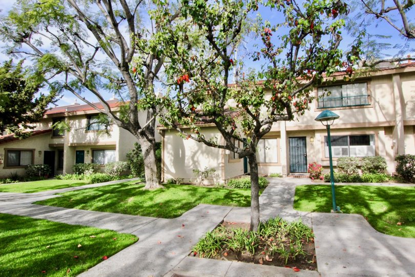 Vista Monterey Condos, Lofts & Townhomes For Sale Vista Monterey Real