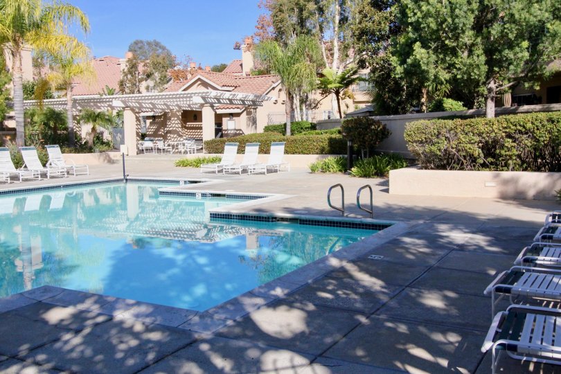 Sonoma Court Condos, Lofts & Townhomes For Sale Sonoma Court Real