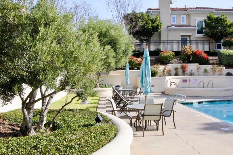 Terracina Condos, Lofts & Townhomes For Sale Terracina Real Estate