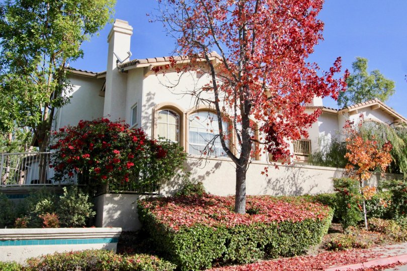 Tierra Montanosa Condos, Lofts & Townhomes For Sale Tierra Montanosa