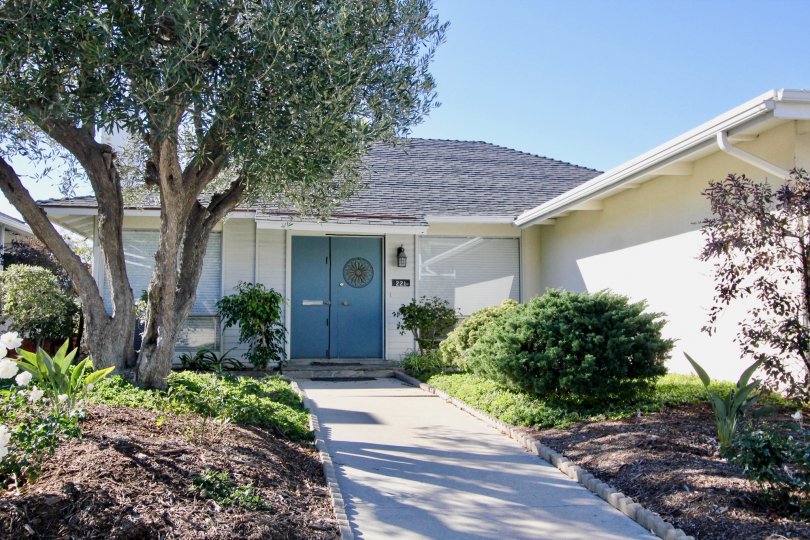 Colony Cove Condos, Lofts & Townhomes For Sale Colony Cove Real