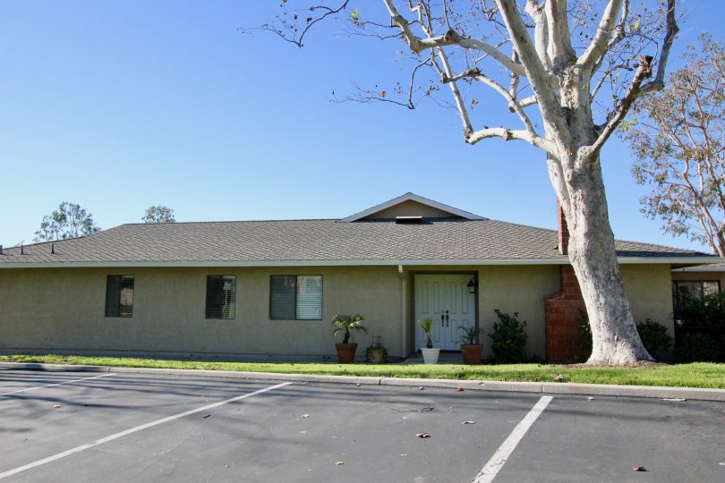 Seascape Village Condos, Lofts & Townhomes For Sale Seascape Village