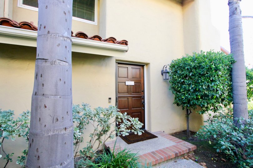 Cancun Racquet Club Condos, Lofts & Townhomes For Sale Cancun Racquet